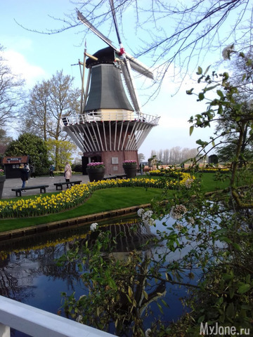 ����� ������ � �������� 2019