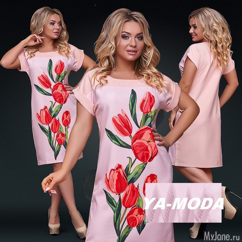 ������ � ������� �������