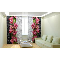 ��������� ����� ����� �����