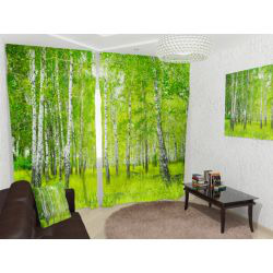 ��������� ��������� ����