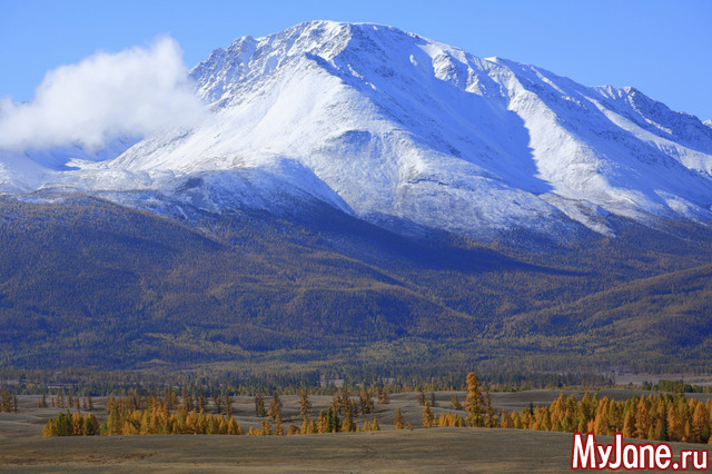 ���������� ���� �������