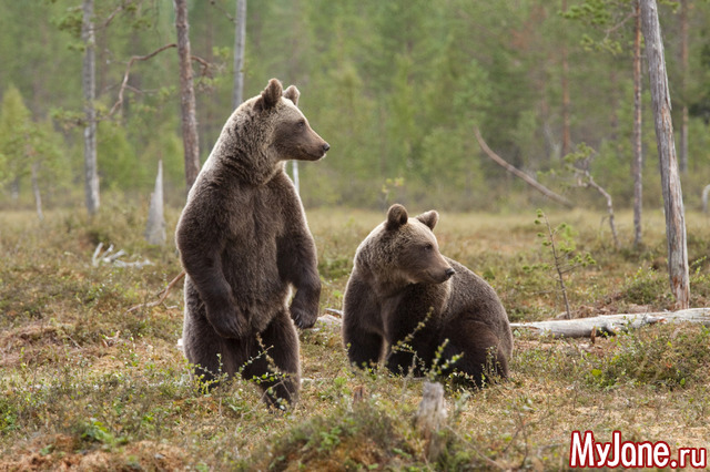 ����� � ����