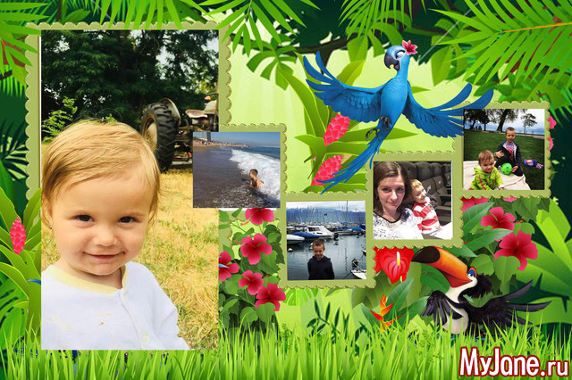 ������ �� 2019 �.