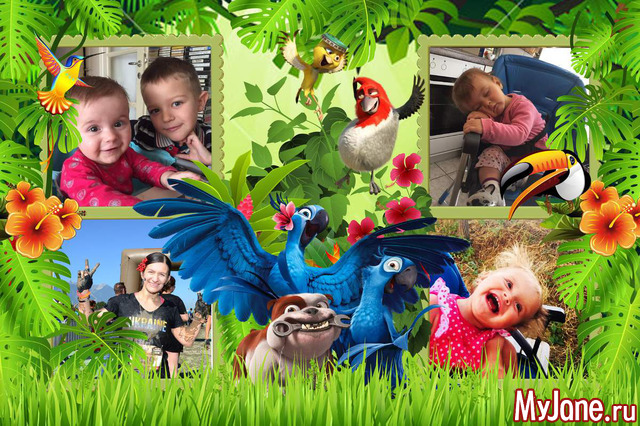 ������ �� 2019 �.