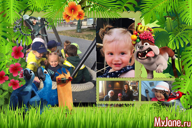 ������ �� 2019 �.