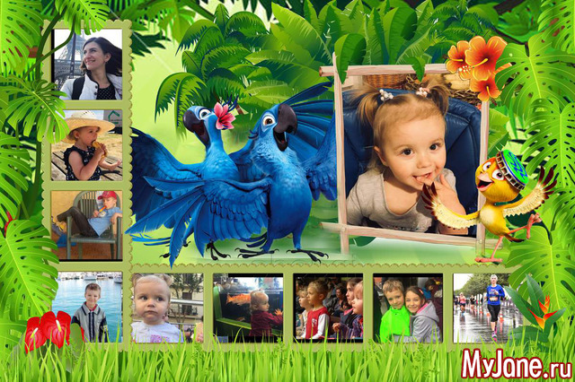 ������ �� 2019 �.