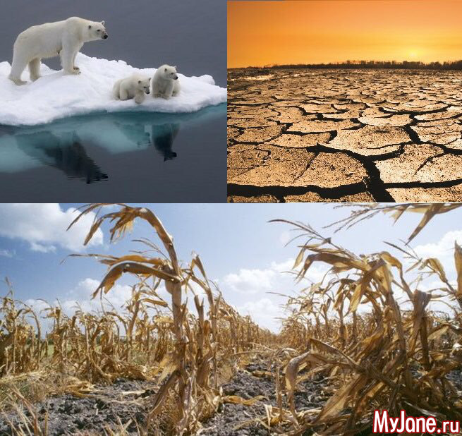 Возможные последствия глобального потепления