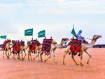 В Саудовской Аравии многие верблюды были отстранены от участия в конкурсе красоты