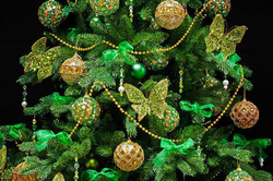 ������ ����: ��� �������� ����, ����� �������� �����, ��������� � ������ � 2022 ����