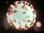 Названы самые распространенные симптомы коронавируса штамма омикрон у детей