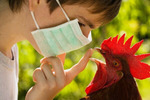 В России выявили первый в мире случай инфицирования человека птичьим гриппом