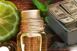 ������� �����������: ����� ������ ���������� ������