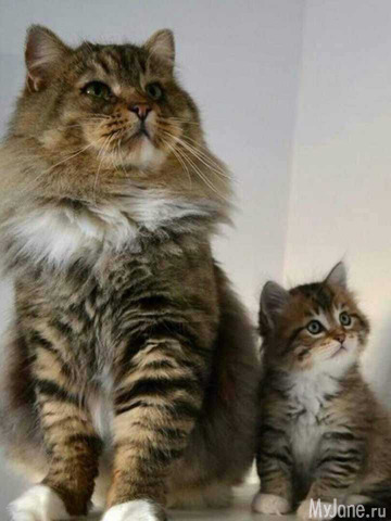 � �� ���?