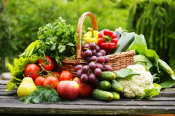 Подкормка овощных культур - огурцов, свеклы, томатов, кабачков