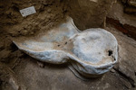 Археологи обнаружили под собором Парижской Богоматери необычный саркофаг