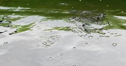 �� ����� ����� ���������� ��������� �����