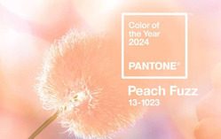 Pantone    2024 