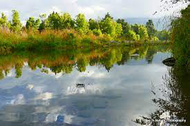 �������.