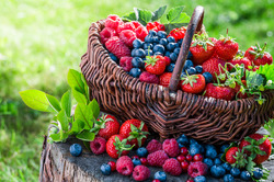 Самые полезные летние ягоды
