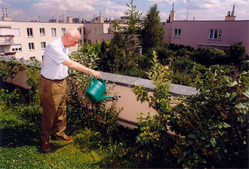 В России будут массово озеленять крыши
