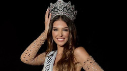 � �������� ����� ����������� ������ ������� �������� �������������� �������