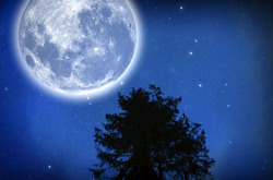 Лунная магия: Раскройте силу и предназначение через влияние Луны в астрологии