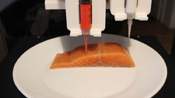 В австрийских магазинах появился напечатанный на 3D-принтере лосось