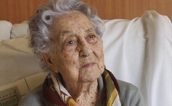 ��������� ���������� ����� ���������� � �������� 117 ���