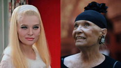 ������ �������� ����������