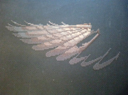 � �������, 01.09.2024