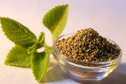 ����� ��� ������