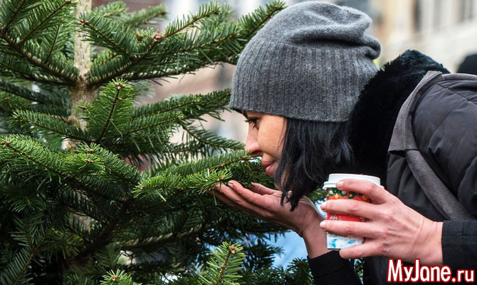 ����� ����������� ����� ���������� �� ���������� ����?